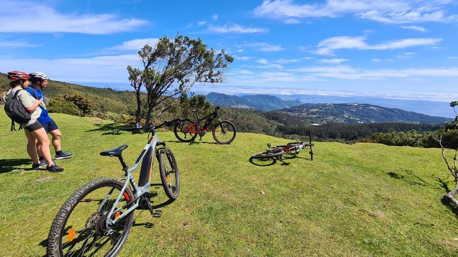 Camacha: Levada Trail e-Bike Guided Tour - Quick Hits You Should Know Before You Go