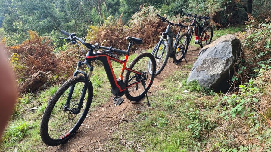 Camacha: Levada Trail e-Bike Guided Tour - Camacha to the Laurel Forest: What Makes This Ride Worth Your Time