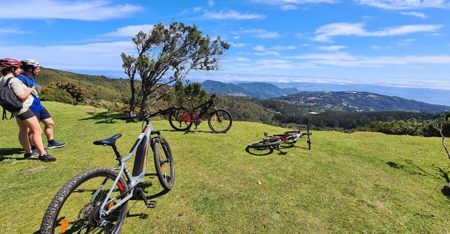 Camacha: Levada Trail e-Bike Guided Tour - Pickup, Van Ride, and the Bike Setup That Makes or Breaks the Trip