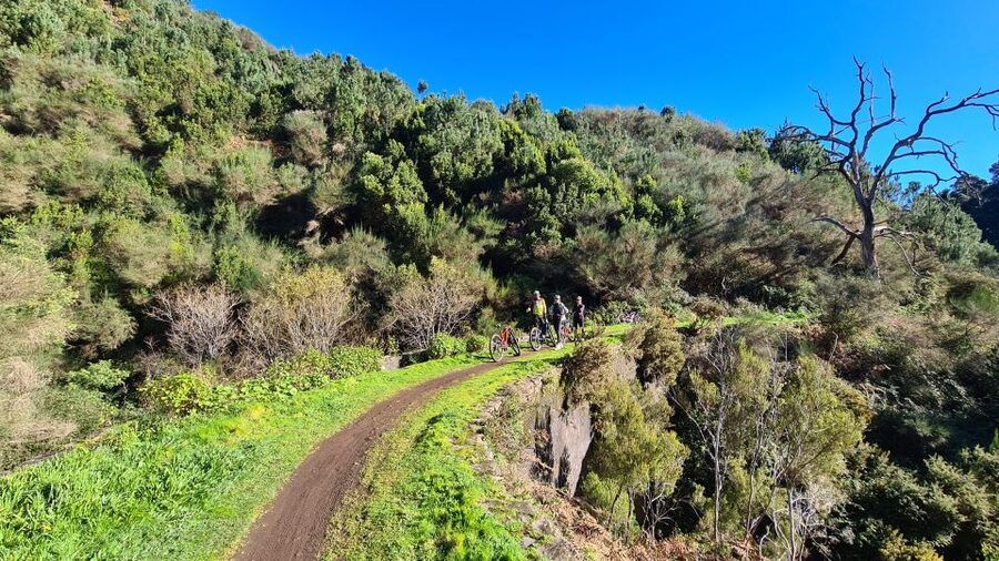 Camacha: Levada Trail e-Bike Guided Tour - Riding Camacha Fields to the Levada: Eucalyptus, Old Bridges, and Smells You Can’t Read on a Sign