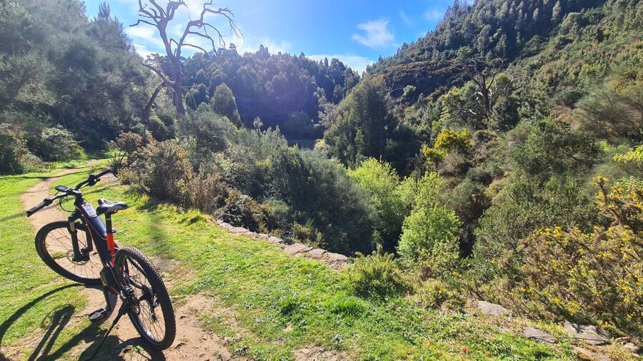 Camacha: Levada Trail e-Bike Guided Tour - Resting at the Water Mill and the Funny-Tree Stop