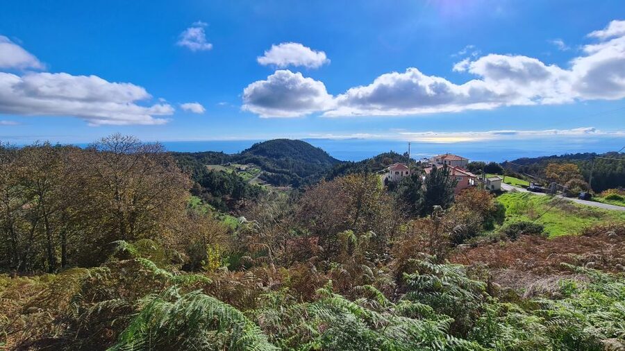 Camacha: Levada Trail e-Bike Guided Tour - Price and What You Actually Get for $82