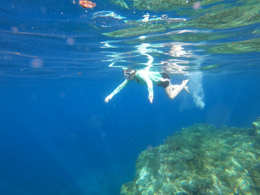 Câmara de Lobos: Private Guided Kayaking Tour in Madeira - What’s Included for the Price, and Why $82 Can Make Sense Here
