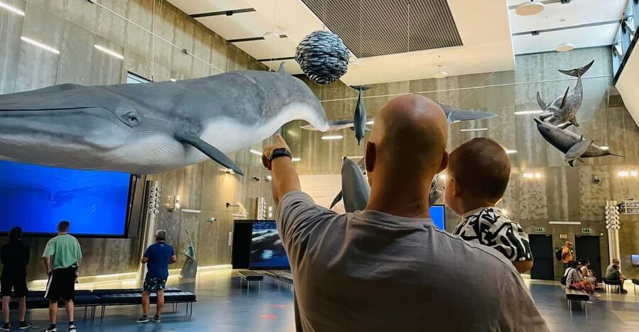 Caniçal : Madeira Whale Museum Entry ticket - Should You Book the Caniçal Whale Museum Ticket?