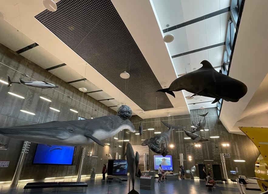Caniçal : Madeira Whale Museum Entry ticket - Why the Madeira Whale Museum in Caniçal earns time on your Madeira trip
