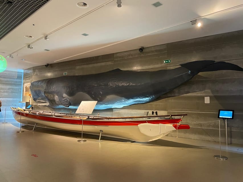 Caniçal : Madeira Whale Museum Entry ticket - Audio guide with 5 languages: how to use it without wasting time