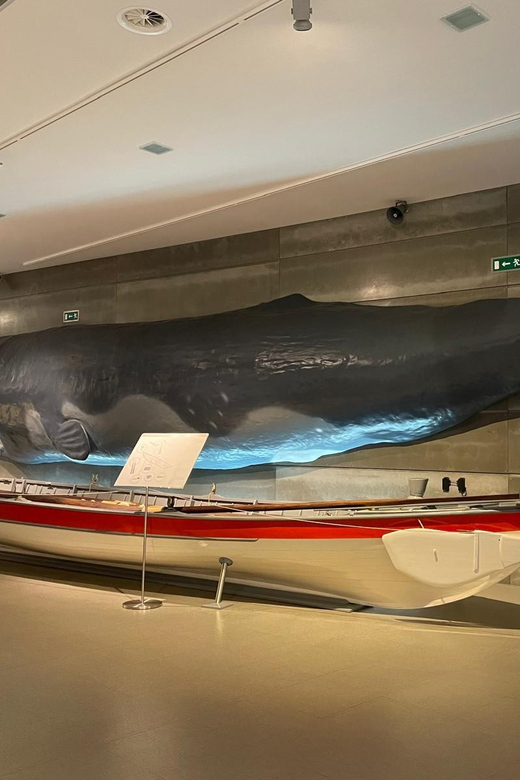 Caniçal : Madeira Whale Museum Entry ticket - Timing and pacing: planning a one-day museum stop in Madeira