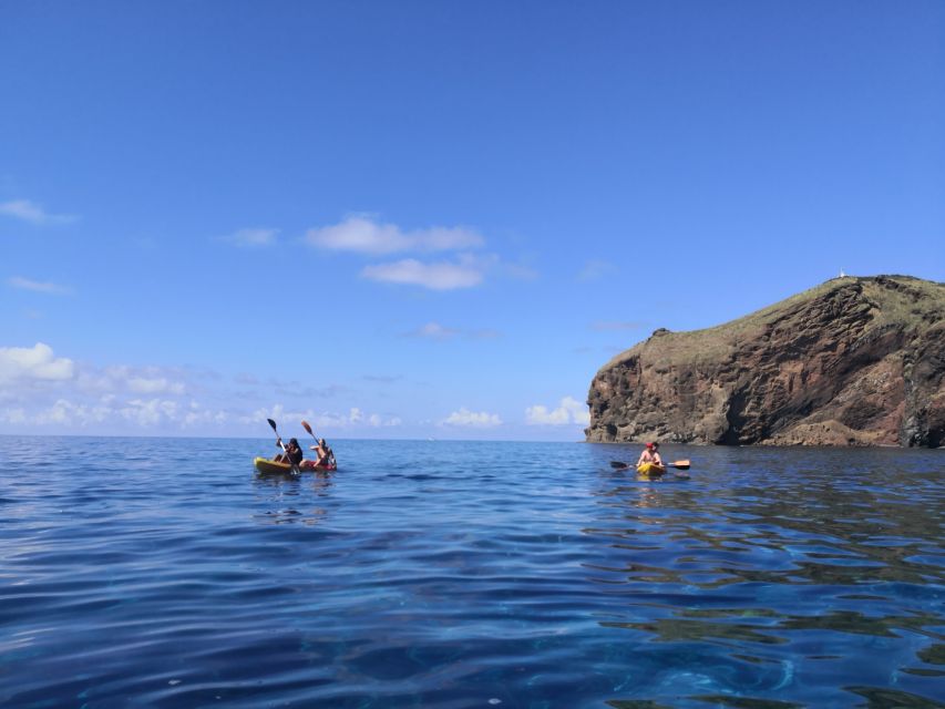 Caniço, Madeira: Marine Reserve Kayak & Snorkelling Tour - Garajau Marine Reserve: your fishy reason to be out on the water