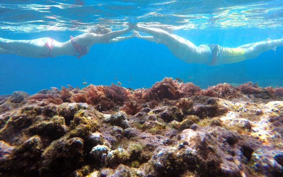 Caniço, Madeira: Marine Reserve Kayak & Snorkelling Tour - Kayaking from Caniço: an easy paddle with cliff views and real coaching