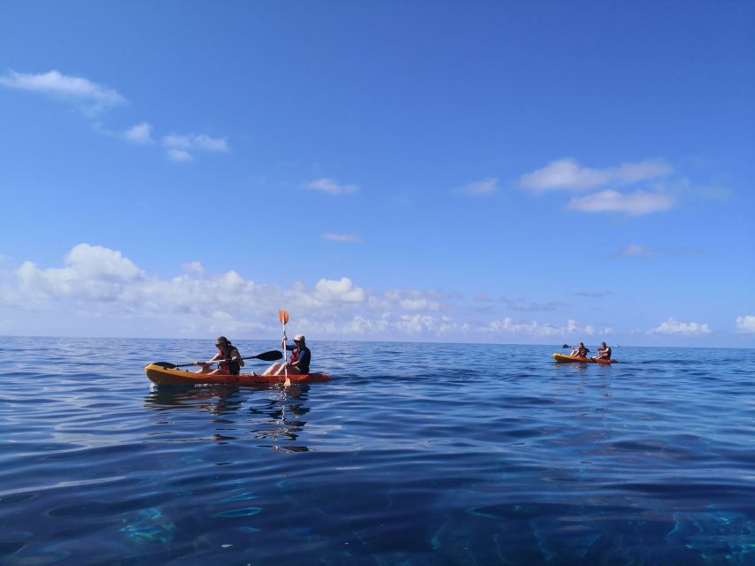 Caniço, Madeira: Marine Reserve Kayak & Snorkelling Tour - The $57 value: what you pay for and how to decide if it’s worth it