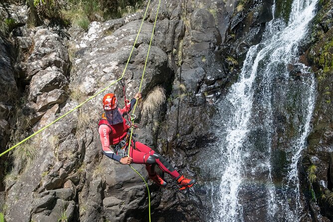Canyoning in Madeira: Ideal for Beginners and Families - Should You Book This Madeira Canyoning Tour?