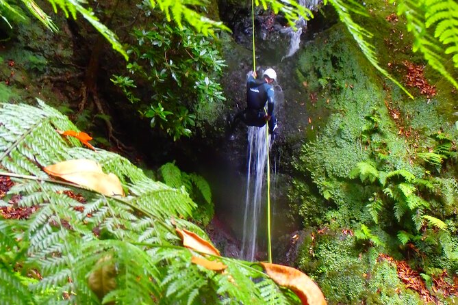 Canyoning Madeira Island - Level One - Gear Included: Wetsuit, Helmet, Shoes, and the Stuff You Don’t Want to Think About