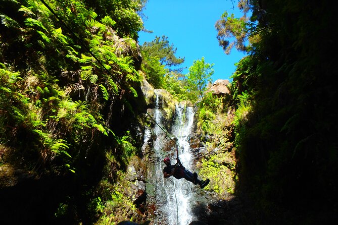 Canyoning Madeira Island - Level One - Who This Tour Fits Best (And Who Might Choose Something Else)