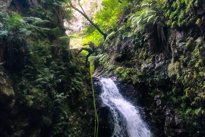 Canyoning Madeira Island - Level Two - Gear check: what you get and why it changes your day
