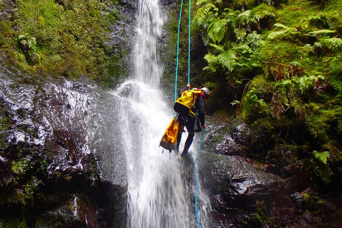 Canyoning Madeira Island - Level Two - Small-group size: up to 12 people means more attention