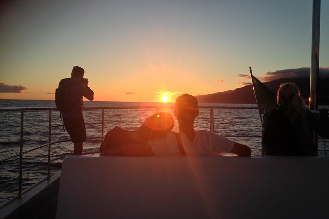 Catamaran Sunset Cruise from Funchal - Key things to know before you go
