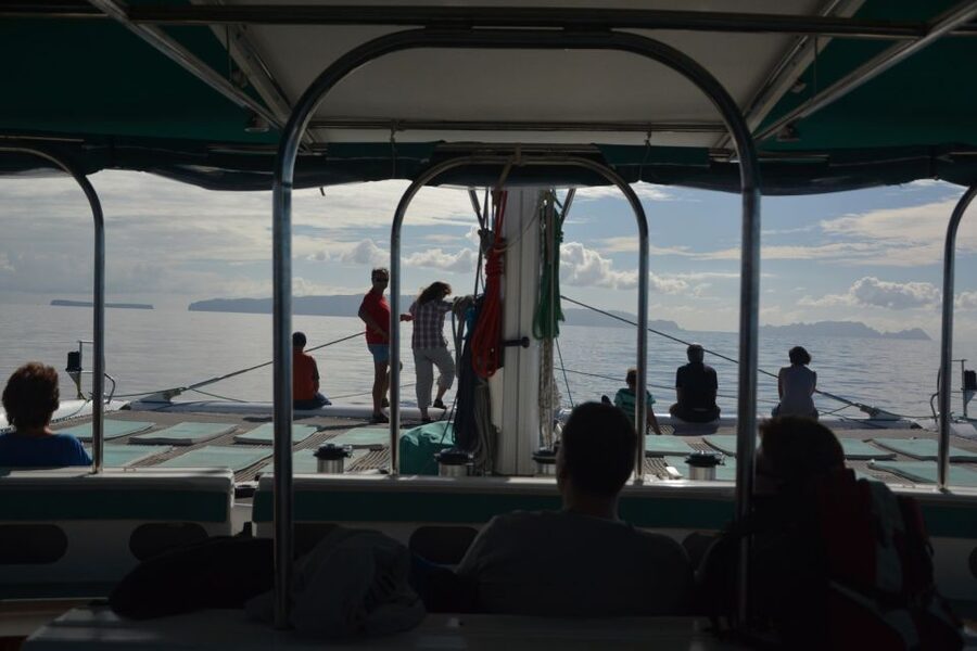 Desertas Islands Full-Day Catamaran Trip from Funchal - Key highlights at a glance