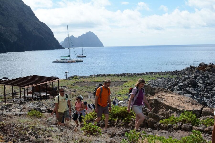 Desertas Islands Full-Day Catamaran Trip from Funchal - Sailing the south coast: views first, wildlife if luck is on your side