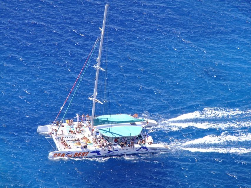 Desertas Islands Full-Day Catamaran Trip from Funchal - Monk seal conservation walk: why the visit matters even when seals are not seen