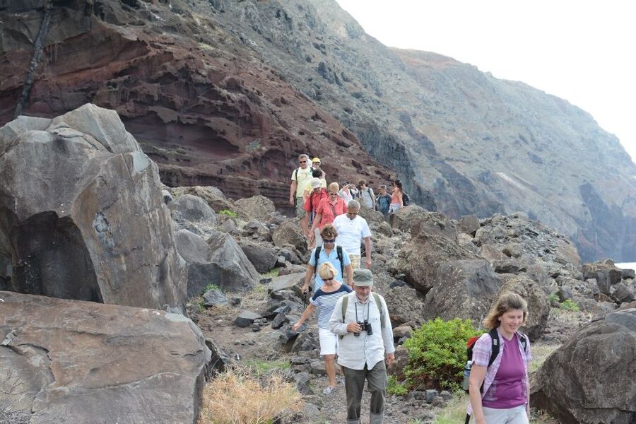 Desertas Islands Full-Day Catamaran Trip from Funchal - Price and value for $106, plus the comfort trade-offs