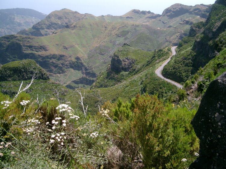 Discover Madeira: Full-Day Tour to Porto Moniz - Climb to Paul da Serra: what the plateau does for your perspective