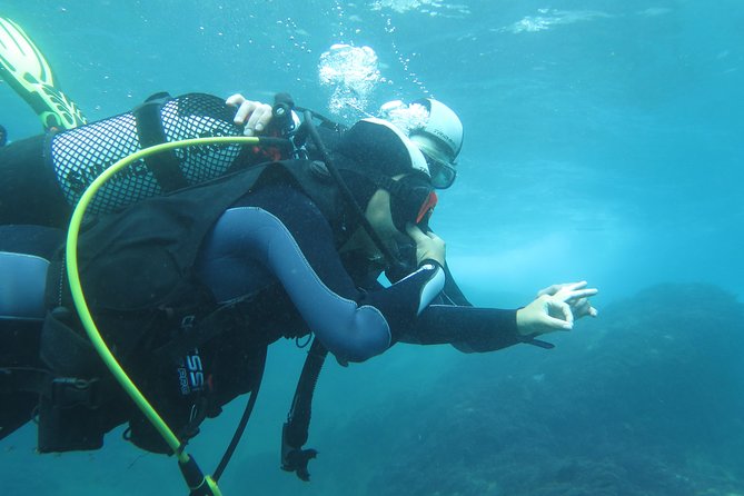 Discover Scuba Diving or Try dive - Gear is included, but still bring the right expectations