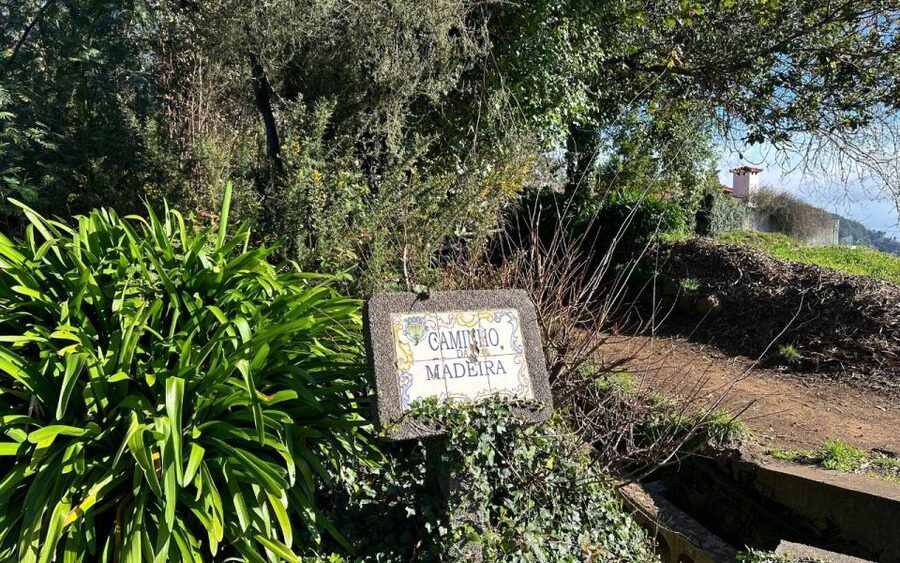 Discover the Paradise Valley - a quick escape for Everyone - Paradise Valley, Camacha start: why this Madeira walk works for real life