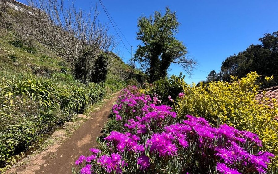 Discover the Paradise Valley - a quick escape for Everyone - Camacha viewpoints: short hikes can still deliver a big payoff