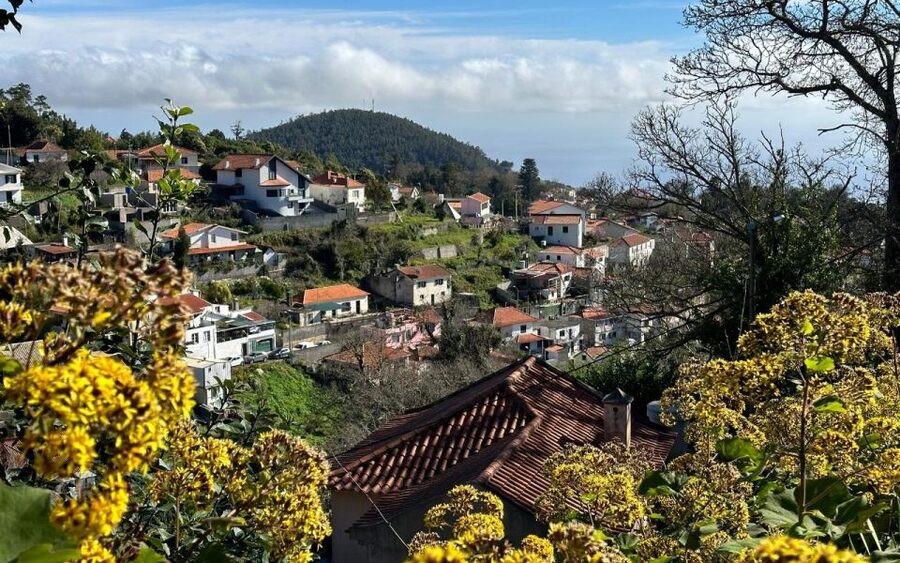 Discover the Paradise Valley - a quick escape for Everyone - Your guide matters: what Flora Travel Madeira does well