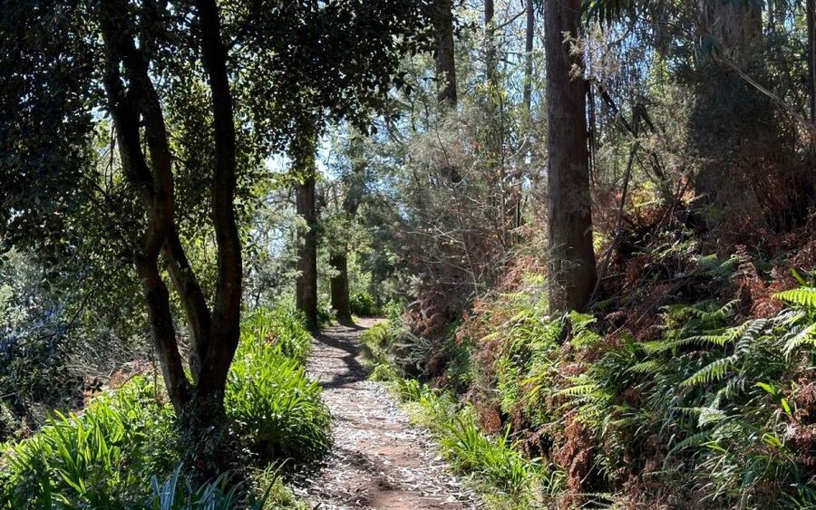 Discover the Paradise Valley - a quick escape for Everyone - Price and value for a $35, 2.5-hour nature escape