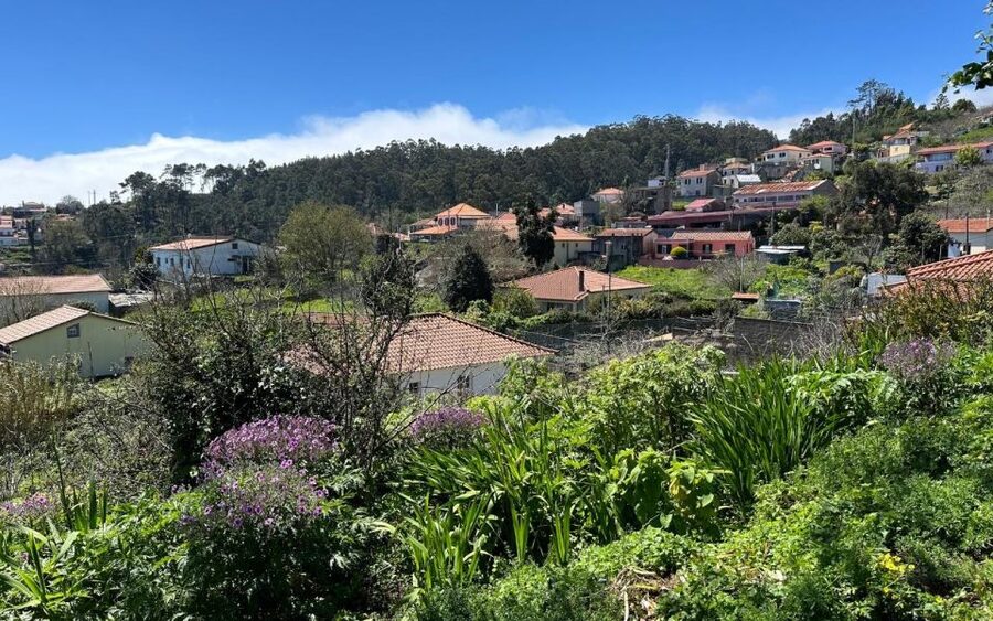 Discover the Paradise Valley - a quick escape for Everyone - Who should book Paradise Valley, and who should skip it