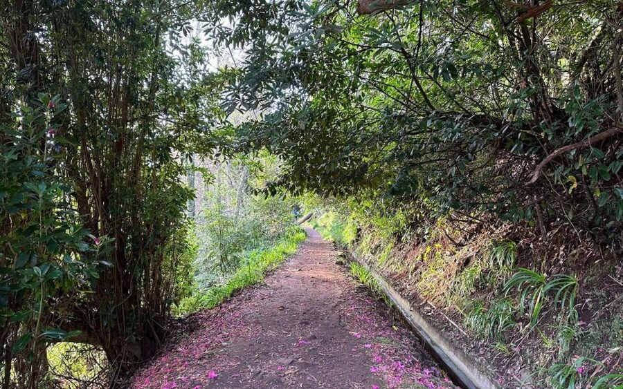 Discover the Paradise Valley - a quick escape for Everyone - So, should you book it? My practical take