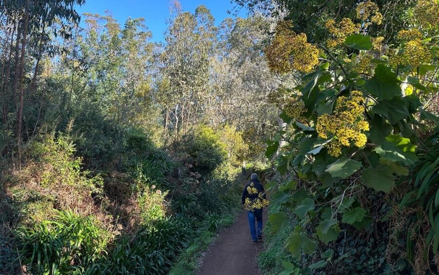 Discover the Paradise Valley - a quick escape for Everyone - The 5.5 km route: easy pace, real walking time, minimal stress