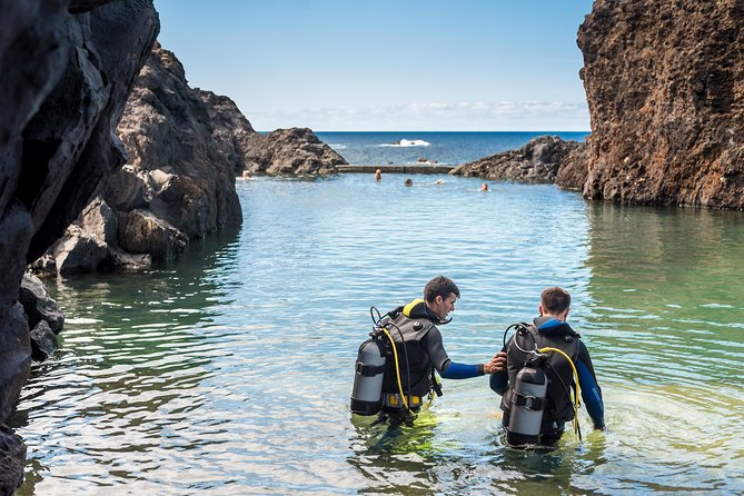 Diving in the Madeira Aquarium - Cachalote Natural Pools: Your First Underwater Intro in a Controlled Setting