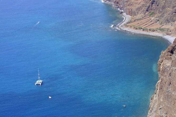 Dolphin and Whale Watching Catamaran Cruise from Funchal - Wildlife Reality Check: What You Should Hope For, What You Must Accept