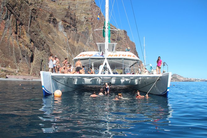 Dolphin and Whale Watching Catamaran Cruise from Funchal - Who Should Book This Tour (and Who Might Not)