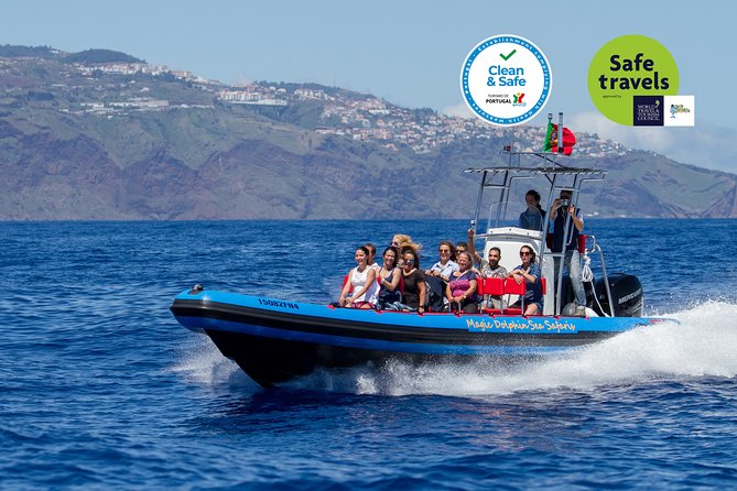 Dolphin - Whale - Turtle - Bird Watching - The 500 Hp RIB ride: speed, comfort, and less waiting