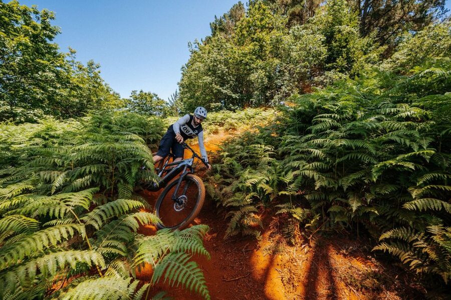 E-Bike Guided Tour - Belle Vue Mountain Biking - Logistics that keep the day from feeling chaotic