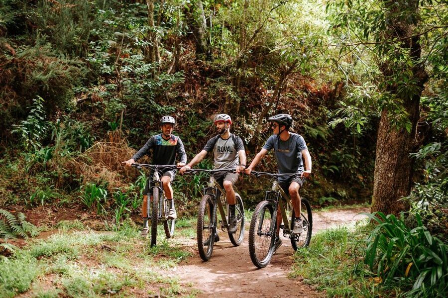 E-Bike Guided Tour - Mountain biking experience - Meeting at Estrada Monumental 182: How the Van Transfer Sets the Tone