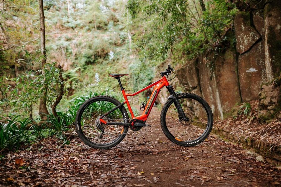 E-Bike Guided Tour - Mountain biking experience - The E-Bike Setup: KTM Macina Ride 291 and Bosch Assist That Actually Helps