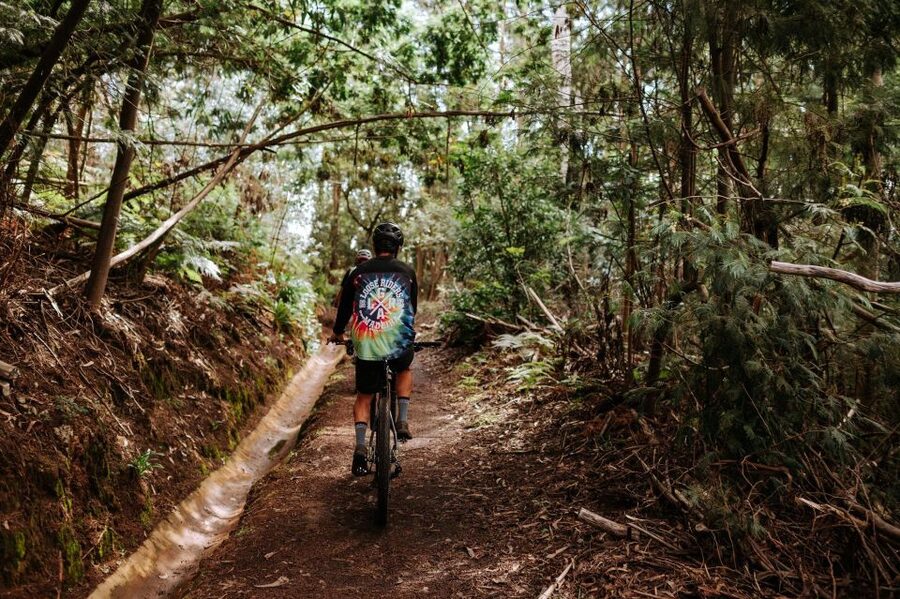 E-Bike Guided Tour - West Side Mountain Biking - Price and value: does $159 make sense for this kind of day?