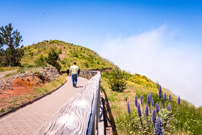 East of Madeira | Full Day 4x4 Tour - Santana with real A-frame houses and an off-road detour