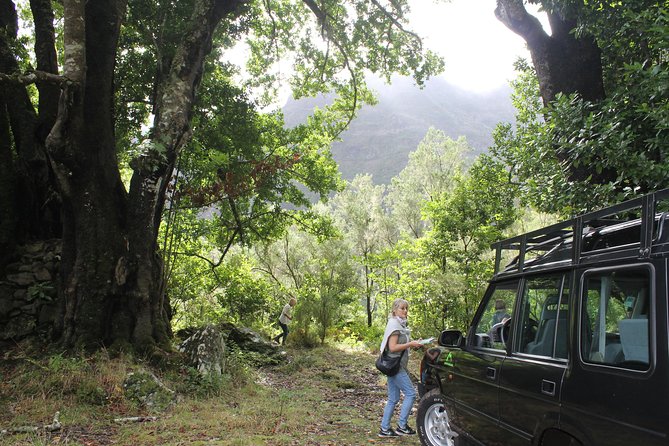 East Tour - 4x4 - Small Group - Quinta do Furão: Lunch With a Big View, Not a Guaranteed Meal