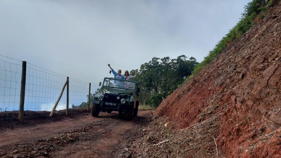 East Tour: Classic jeep tour to East Madeira - Santana - Ribeiro Frio Trout Reserve: the calm pause in the middle of the climb