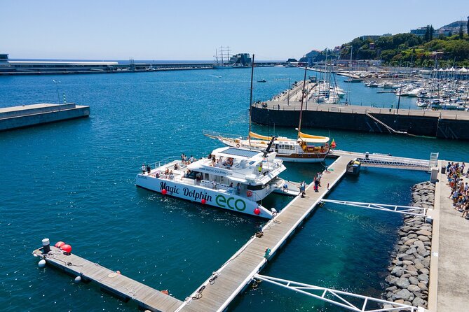 Eco-Friendly Catamaran Dolphin and Whale Watching - Cabo Girão and the South Coast Stories You Hear on the Way Back
