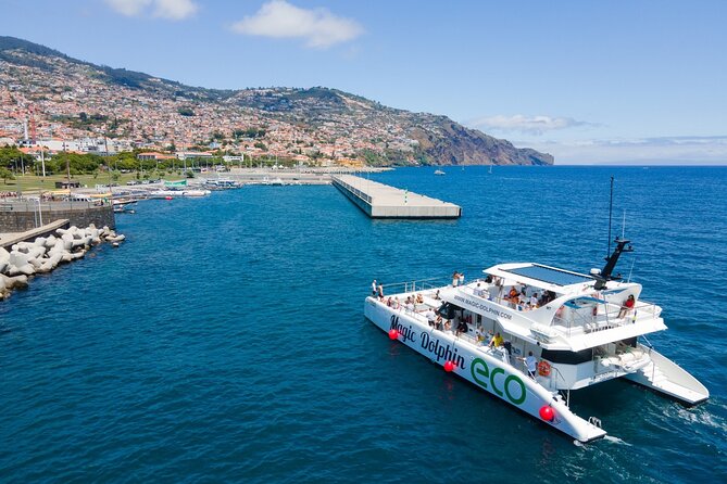 Eco-Friendly Catamaran Dolphin and Whale Watching - Eco-Friendly, What You Can Actually Expect
