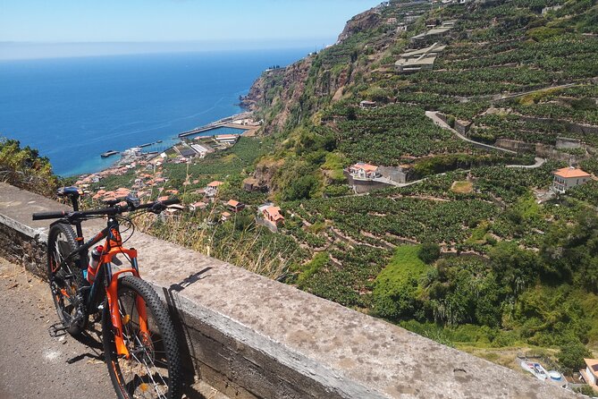 Electric Bike Tour in Northern Madeira - Price and Value: What $78.44 Buys You Here