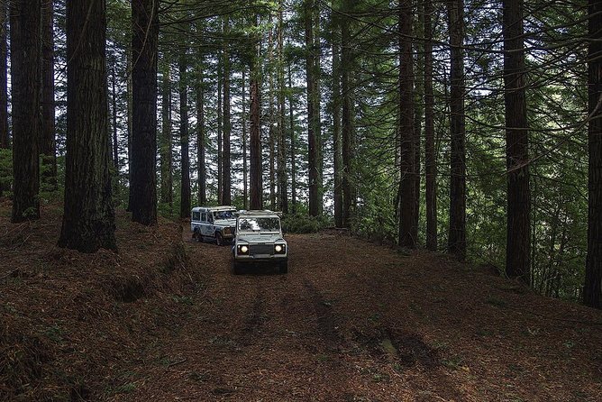 Enchanting North - Full Day- Shared Tour - Shared Tour Logistics: Pickup, Timing, and the Real-Life Group Vibe