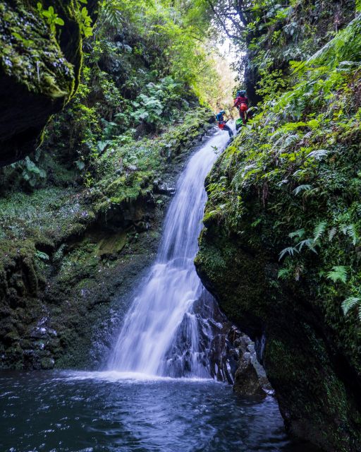 EPIC Madeira Canyoning Level Two - Photos and the post-canyon wrap-up back at Cable Car