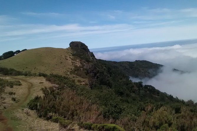 Fanal -Enchanted Forest - What to bring so weather does not ruin your day
